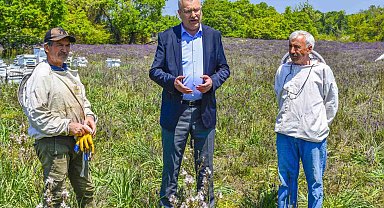 Karacabey'de Longoz ormanlarında görsel şölen