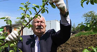 Elma Bahçesinde Tarla Günü