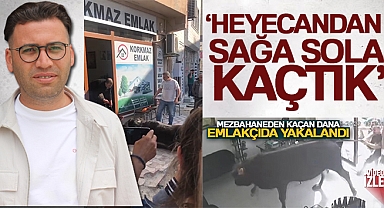 Mezbahadan kaçan dananın girdiği iş yerindeki emlakçı: 'Dana içeri girince heyecandan sağ sola kaçtık'