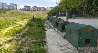 Köpeği Ezen Umursamaz Sürücü Yoluna Devam Etti