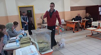 Oy kullanmaya köpeği ile geldi