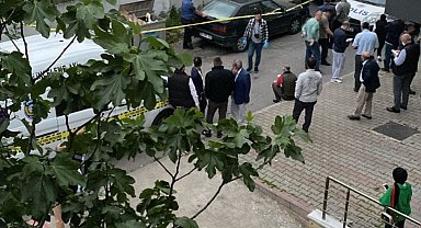 Pendik'te çöpte çok sayıda kesilmiş kimlik bulundu