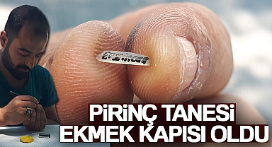 Pirinç tanesi ekmek kapısı oldu