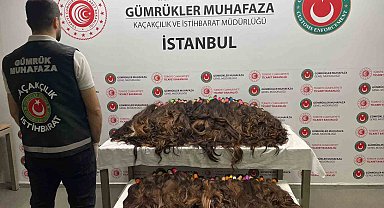 Sabiha Gökçen Havalimanı'nda 68 kilo insan saçı ele geçirildi