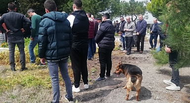 Sokak köpeği Messi cenazelere katılıyor