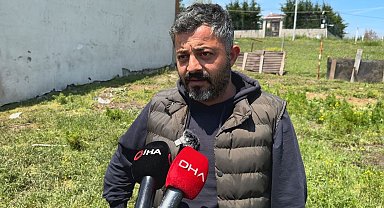 Koyun Sürüsüne Köpek Saldırısı 