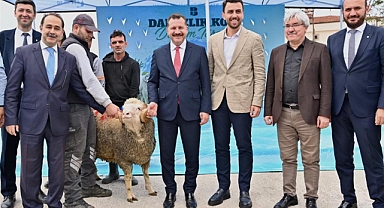 Üretici Destekleniyor, Balıkesir Kuzusu Yaygınlaşıyor
