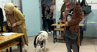 Üzerine kazak giydirdiği kuzusuyla oy kullanmaya geldi