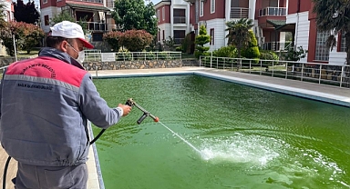 Yaz İçin İlaçlama Çalışmaları Hız Kazandı   