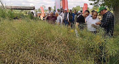 'Kanola ekelim yağ olsun bal olsun'