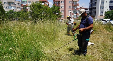 Altıeylül Kurban Bayramı Öncesi Güzelleşiyor   