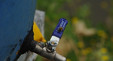 Arıların Kabusu Olan 'Arı Kuşları' Kovanlara Saldırdı