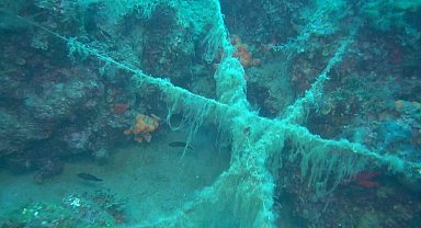 Ayvalık açıklarında doğal resiflerin üzerini kaplayan paraketa misinaları görüntülendi