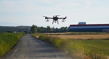 Ayvalık'ta Dronla İlaçlama