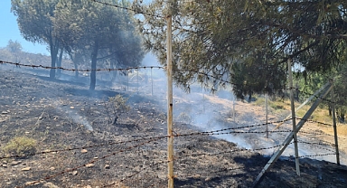 Ayvalık’ta Kırsal Alan Yangınına Bir Helikopter Ve İki Yangın Söndürme Uçağı İle Müdahale Edildi   