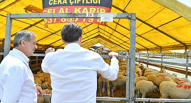 Bahçelievler Belediyesi Kurban Bayramı hazırlıklarını tamamladı