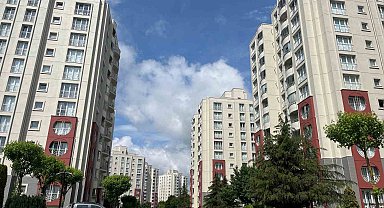 Başakşehir'de site yönetiminin kedileri toplayarak boş araziye attığı iddiası tepkiye neden oldu