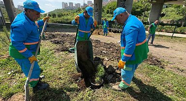 Başakşehir'in Fidan Üretim Merkezi Türkiye'ye nefes oluyor