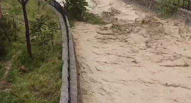 Beypazarı'nda İnözü Deresi taştı: Ağaçları yerinden kopardı