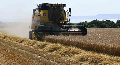 Çanakkale'de arpa hasadı başladı
