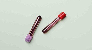 Düzenli kan bağışı ile daha sağlıklı hücreler mümkün