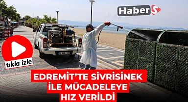 EDREMİT'TE SİVRİSİNEK İLE MÜCADELEYE HIZ VERİLDİ