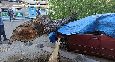 Esenler'de ceviz ağacı 2 aracın üstüne devrildi