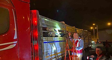 İstanbul'a kurbanlık hayvan girişleri başladı