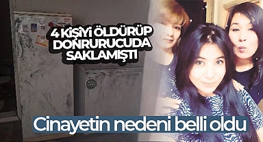 İzmir'de 4 kişiyi öldürüp cesetleri parçalayarak derin dondurucuda saklayan zanlı yakalandı