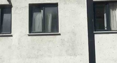 Kağıthane'de Toplu Arı Paniği 