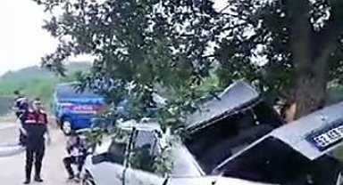 Kontrolden çıkan otomobil ağaca çarptı: 3 yaralı