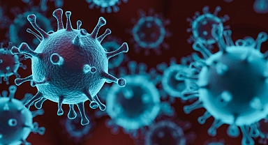 Koronavirüsle İlgili Çarpıcı İddalar.. Dünya Bu Haberi Konuşuyor !