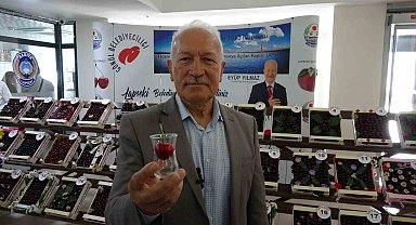Lapseki'nin bardağa sığmayan şampiyon kirazı belli oldu
