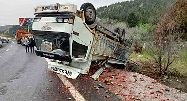Meyve yüklü kamyon devrildi, yol karpuz tarlasına döndü