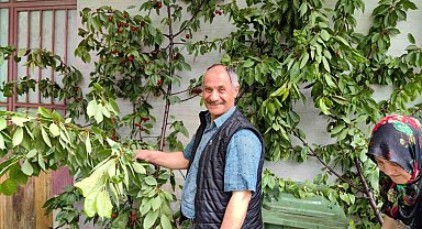 Ölümden saniyelerle kurtuldu, başına gelenlerden sonra kiraz topladı