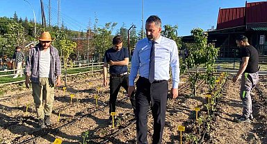 Pursaklar'da ata tohumları ata bahçesinde toprakla buluştu