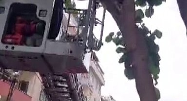 Sancaktepe'de ağaçta mahsur kalan çocuğu itfaiye kurtardı