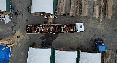 Sultangazi'de kurbanlıklar pazara gelmeye başlandı