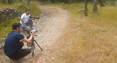 Tedavi Edilen Yaralı 'Ağaç Kamışçını' Kaldığı Yerden Göç Yolculuğuna Devam Etti   