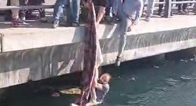 Üsküdar'da denizde can pazarı: Piknik örtüsü ile kurtarmaya çalıştılar