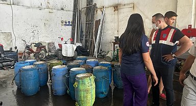 Yasadışı yollarla avlanan deniz patlıcanları denize salındı