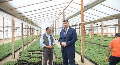 Yerli üretim, yüzde yüz hibeli ata tohumu