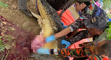 Adamın Cansız Bedeni Devasa Bir Timsahın Midesinden Çıktı