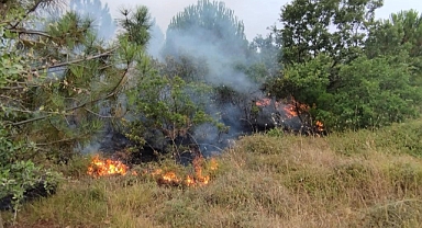 Araziye Yıldırım Düştü, Yangın Meydana Geldi   