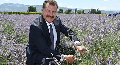 Aromaterapi Festivali Başlıyor   