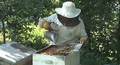 Bal üretiminde dünyada ikinci sıradayız