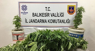 Balıkesir'de Jandarmadan Uyuşturucu Ve Organize Suç Operasyonu