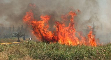   Balıkesir’de Sazlık Yangını Yol Kapattırdı   