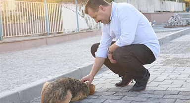 BBB’den Bandırma Ya Da Sokak Hayvanları Tedavi Merkezi