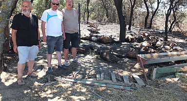 Burhaniye’de Ağıl Yangını: 33 Koyun Telef Oldu   